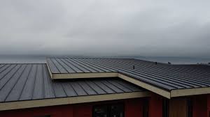 Best Steel Roofing  in Sleepy Hollow, NY